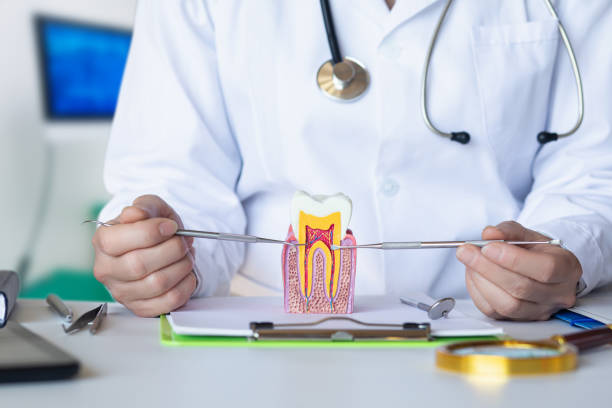 Best Emergency Dental Care for Trauma or Injury in Fall Creek, WI